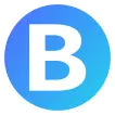 Company